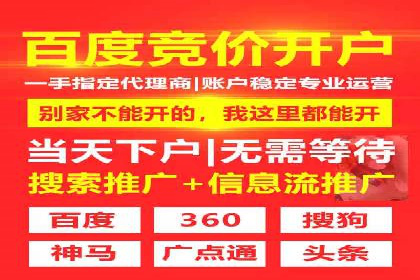 竞价SEM托管案例：提升广告投放效果